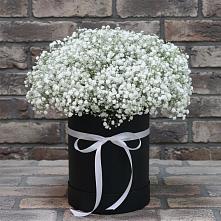 Цветочная композиция из Гипсофила в шляпной коробке #REPLACE_PRED# Хандыге
